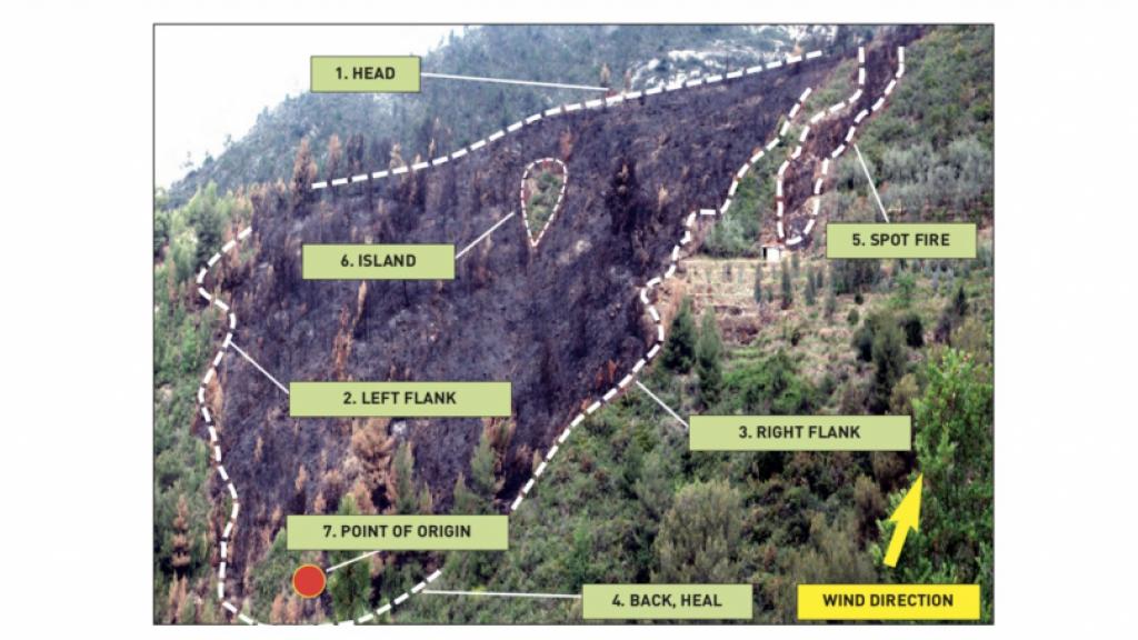 Multilingual handbook for fire terms across European borders during